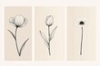 © phy - Set of three minimalist vertical posters featuring delicate flowers drawn in smoky line art style, each poster highlighting a single bloom like a rose, tulip, and daisy, with soft neutral backgrounds.