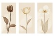 © phy - Set of three minimalist vertical posters featuring delicate flowers drawn in smoky line art style, each poster highlighting a single bloom like a rose, tulip, and daisy, with all color soft neutral