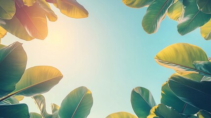 Tropical leaves frame sunny sky; nature banner