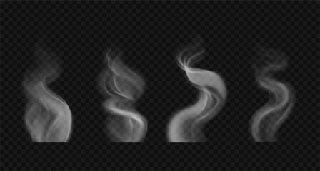 vector wavy smoke on water, tea, coffee, food. set of realistic white hot steam isolated on transpar