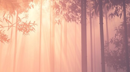 Wall Mural - Serene Foggy Dawn in a Bamboo Forest with Soft Light Effects