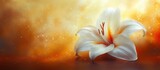 A stunning close-up of a white lily against a warm, dreamy background, perfect for use in floral design, wellness promotions, or home decor, Its elegance conveys purity and tranquility,