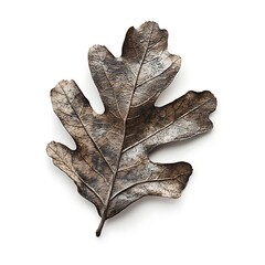 Wall Mural - Green oak leaf isolated on white background. Clipping path included.