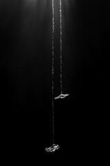 Poster - Strings hang gracefully in a dimly lit environment, casting delicate shadows and shimmering reflections