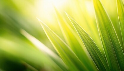 Aufkleber - close-up of vibrant green grass leaves with soft light background, perfect for nature, freshness, and natural design projects