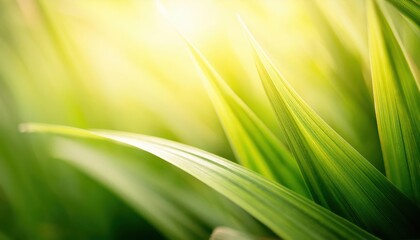 Aufkleber - close-up of vibrant green grass leaves with soft light background, perfect for nature, freshness, and natural design projects