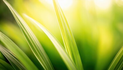 Aufkleber - close-up of vibrant green grass leaves with soft light background, perfect for nature, freshness, and natural design projects
