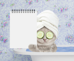 Fototapete - Cute kitten with towel on it head and slices of cucumber on it eyes takes the bath at home and shows blank white notepad in it paw. Empty space for text