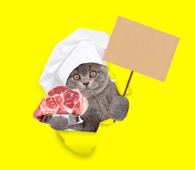 Poster - Cute kitten wearing chef's hat holding bowl of raw meat and looking through the hole in yellow paper and showing blank placard on wooden stick