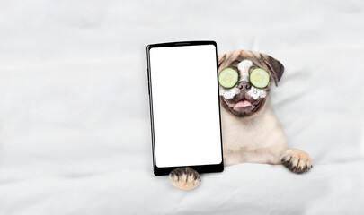 Leinwandbilder - Funny Pug puppy with cream on his face, with pieces of cucumber on his eyes relaxing on the bed at home and showing big smartphone with white blank screen. Top down view. Empty space for text