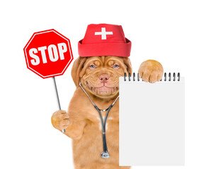 Fototapete - Funny Mastiff puppy wearing like a doctor with stethoscope on his neck shows empty notebook and stop sign. isolated on white background