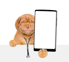 Aufkleber - Smart Mastiff puppy wearing like a doctor with stethoscope on his neck showing big smartphone with white blank screen in it paw above blank white banner. isolated on white background