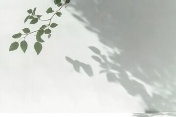 Wall Mural - Abstract Gray Tree Shadow on White Wall, Neutral Nature Concept with Blurred Background and Space for Text, Natural Light Effects