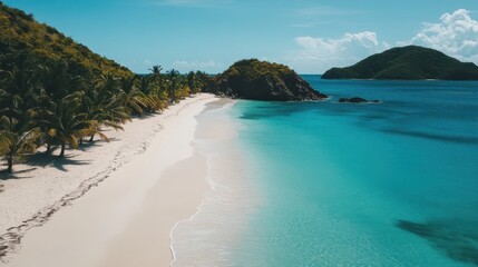 Poster - Secluded tropical beach with crystal clear waters and lush palm trees under a sunny sky