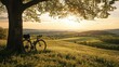 © vadosloginov - Cyclist resting on a hillside under a tree during sunset, enjoying the peaceful landscape