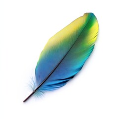 Poster - Vibrant parrot feather showcasing a stunning gradient of blue and yellow colors in a natural setting