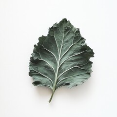 Poster - Dark green kale leaf with ruffled edges showcasing natural texture and color on a neutral background