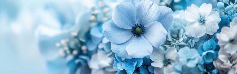 Poster - Beautiful gradient design showcasing delicate blue flowers in an elegant arrangement with soft tones and gentle details