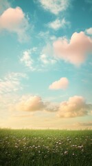 Poster - Peaceful green field with soft clouds under a serene blue sky during a sunny day