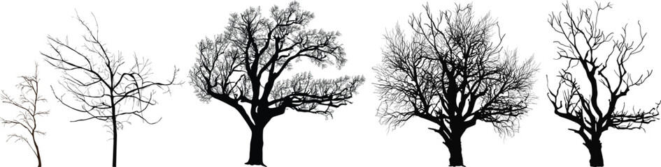 Wall Mural - bare trees five silhouettes collection isolated on white