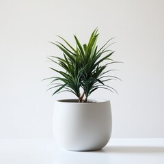 Aufkleber - Indoor potted plant with a ceramic body brings elegance and serenity to home decor