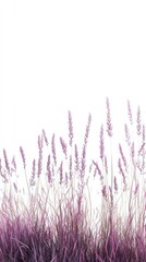 Aufkleber - Lush row of deep purple grass swaying gently in the breeze under a bright sky during a warm afternoon