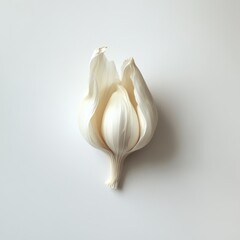 Poster - Unique close-up of a single smooth clove of garlic isolated on a minimalist background