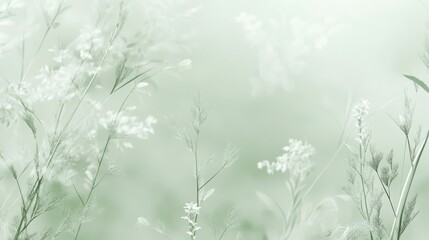 Aufkleber - Soft pale sage green background with delicate wildflowers blending seamlessly into the atmosphere in natural light