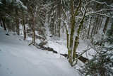 Karkonosze, Zima,