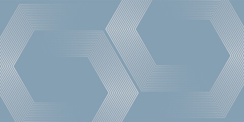 Poster - abstract hexagon lines on gray background. geometric stripe line art design modern, vector.