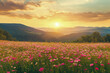 © MDOMAR - Vibrant flower fields of pink and red daisies with a breathtaking sunset over the mountains and forest.