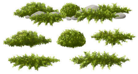 Wall Mural - green grass,moss and fern garden, vertor set of green tree,plants side view for landscape elevations