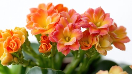 Poster - A detailed view of flowers arranged in a decorative vase