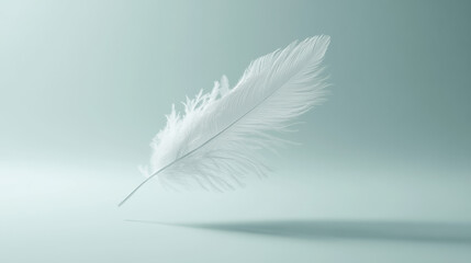 A delicate feather suspended in mid-air, soft white with subtle silver accents, solid pale blue background