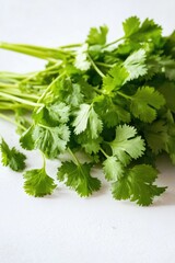 Poster - Fresh cilantro herb on a clean white surface