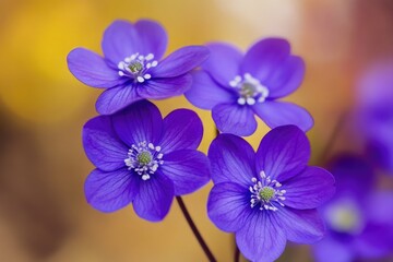 Poster - A bouquet of purple flowers arranged on a table, perfect for decorating or as a centerpiece