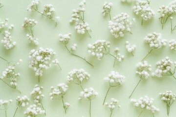 Aufkleber - A cluster of tiny white blooms sit atop a lush green background, perfect for adding a touch of natural elegance to your design
