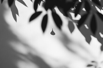 Poster - A close-up view of a leafy tree branch in shades of gray