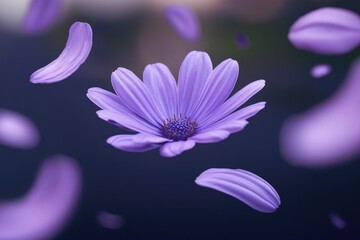 Poster - A delicate purple flower floats through the air