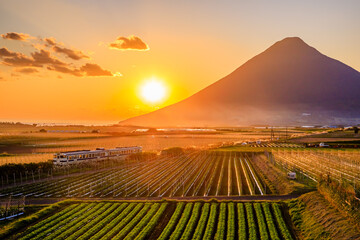 Wall Mural - 秋の開聞岳と指宿枕崎線を走るキハ47と夕日　鹿児島県指宿市　Mt. Kaimondake in autumn and the Kiha 47 running on the Ibusuki Makurazaki Line and the sunset. Kagoshima Pref, Ibusuki City.