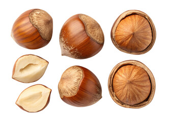 Wall Mural - hazelnut isolated on transparent background png