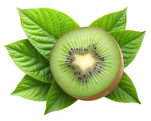 Wall Mural - kiwi on a white isolated on transparent background png