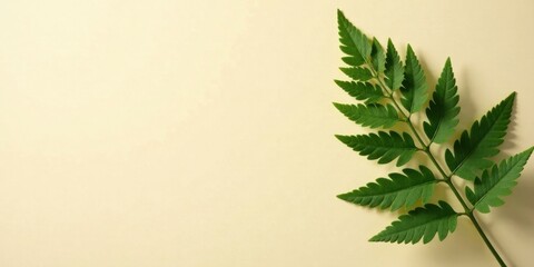 Aufkleber - Serene Green Branch on Pale Background, Perfect for Natural Design Elements and Botanical Themed Projects