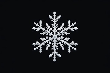 Wall Mural - a close up of a snowflake on a black background