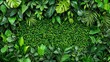 © TingeGlint - Lush green foliage with various leaves on a textured background.