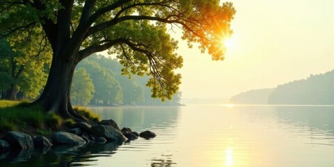 Poster - Serene Sunrise Over Calm Water, Majestic Tree Framing Golden Hour Light on a Tranquil Lake Shore
