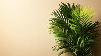 Poster - potted plant on a table with beige background and palm leaves casting shadows