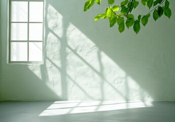 Wall Mural - Sunlight streams through a window, casting shadows on a light green wall. Green leaves from a branch hang into the frame. Minimalist interior design