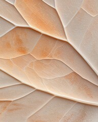 Poster - Abstract texture patterns close-up nature soft lighting minimalist design