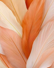 Poster - Delicate feather patterns nature close-up tranquil environment aesthetic viewpoint artful concept
